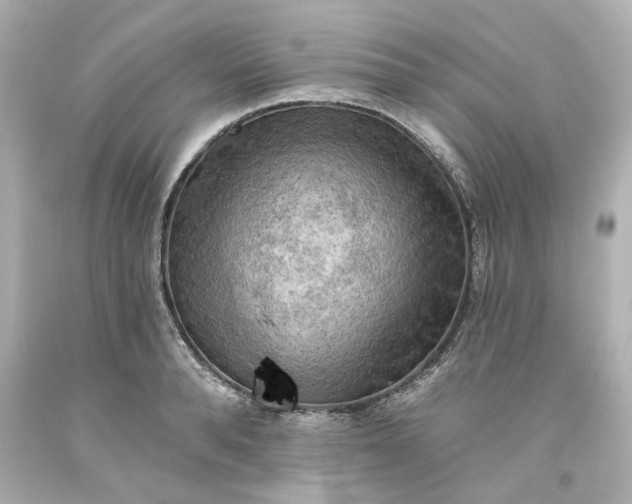 X0000093560896200710291016