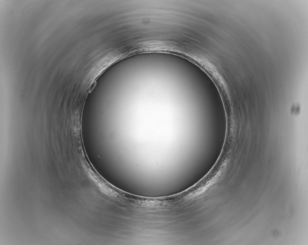 X0000093560897200710291016