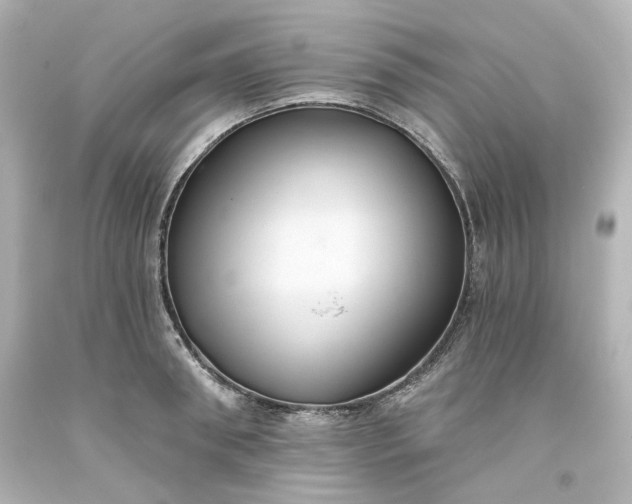 X0000093560898200710291016