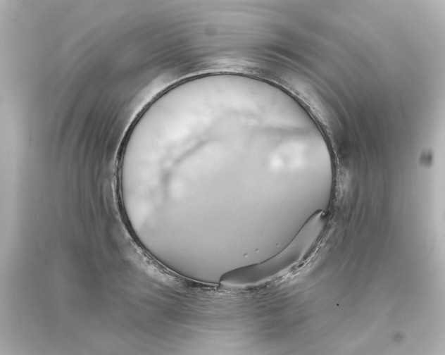 X0000093560899200710291016