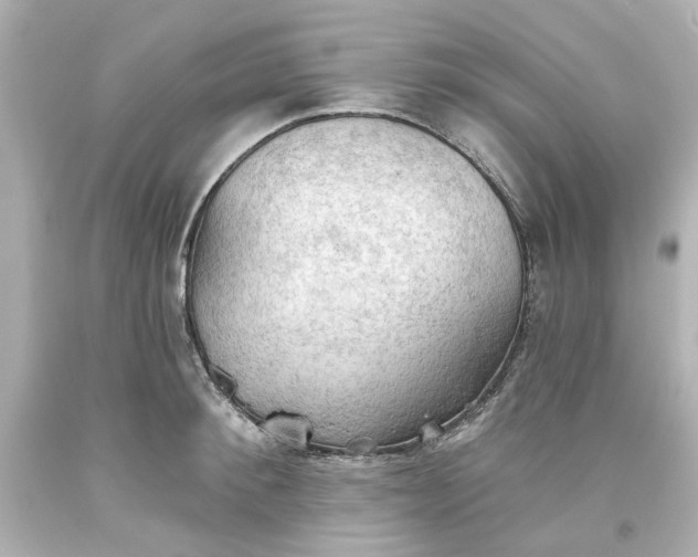 X0000093560900200710291016