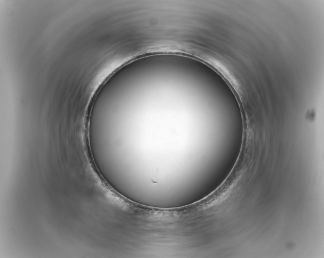 X0000093560901200710291016