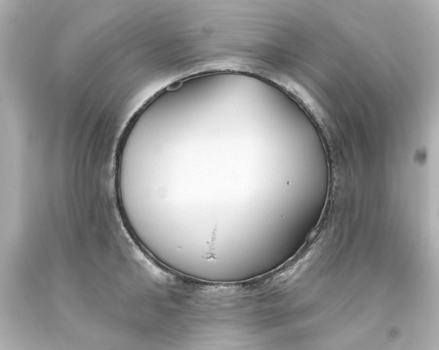 X0000093560902200710291016