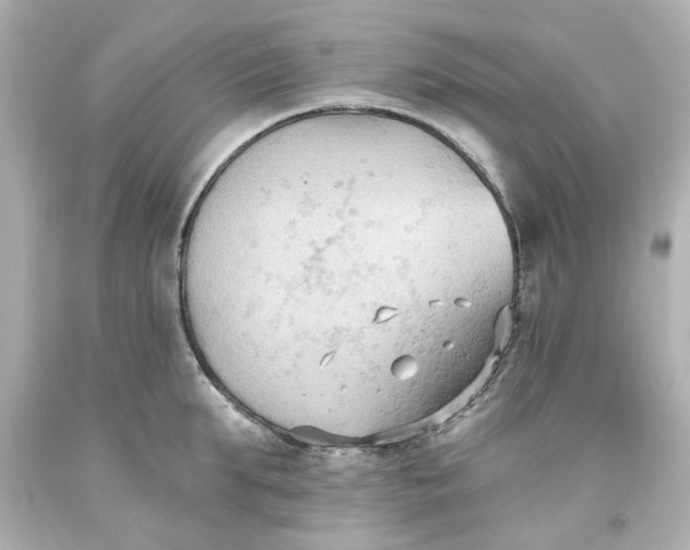 X0000093560903200710291016