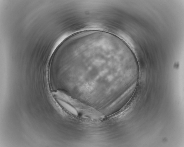 X0000093560907200710291016