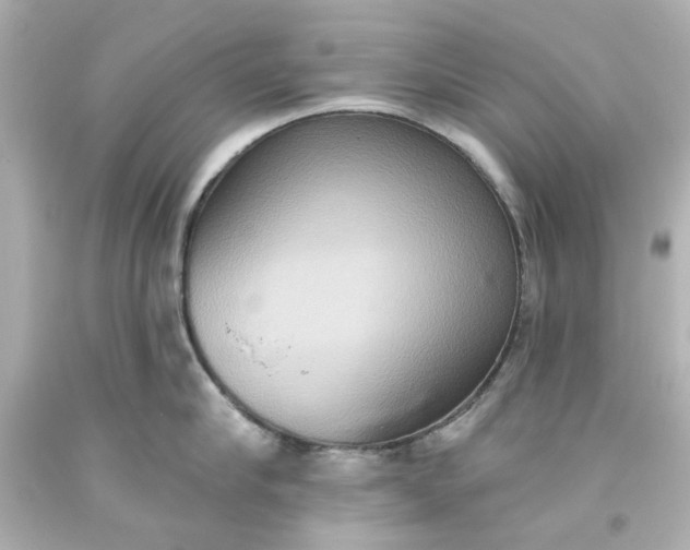 X0000093560910200710291016