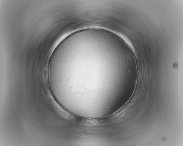 X0000093560911200710291016