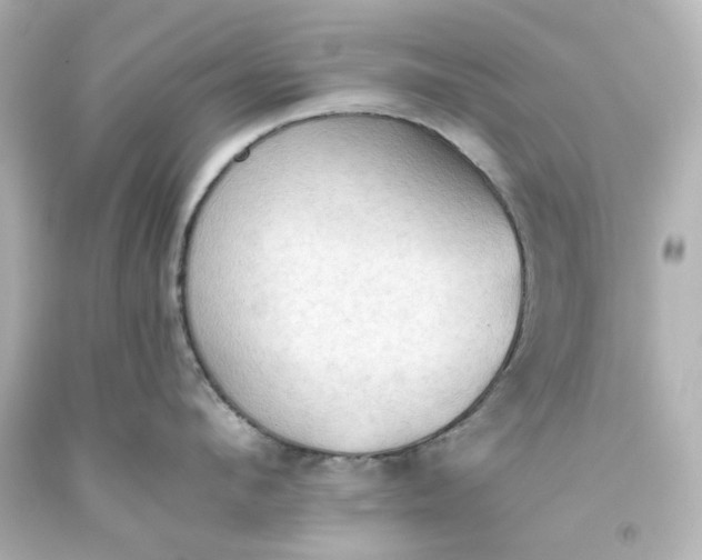 X0000093560912200710291016