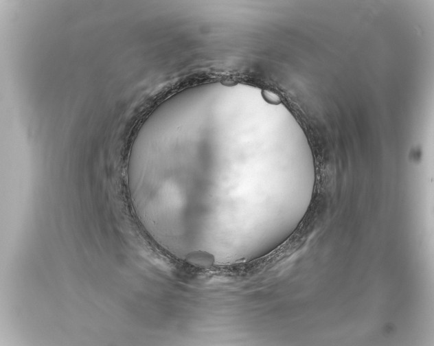 X0000093560913200710291016