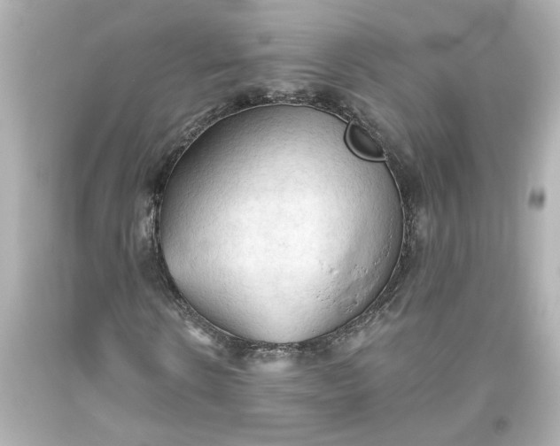 X0000093560914200710291016