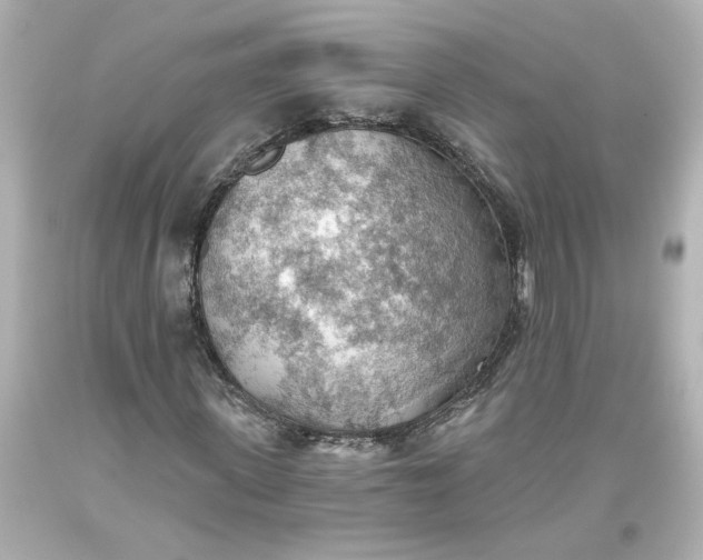 X0000093560915200710291016