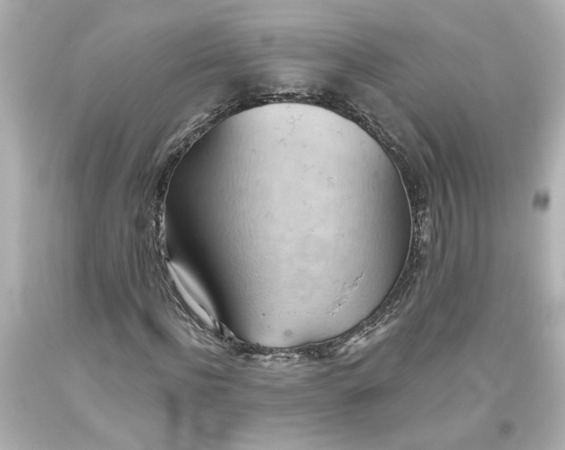 X0000093560916200710291016