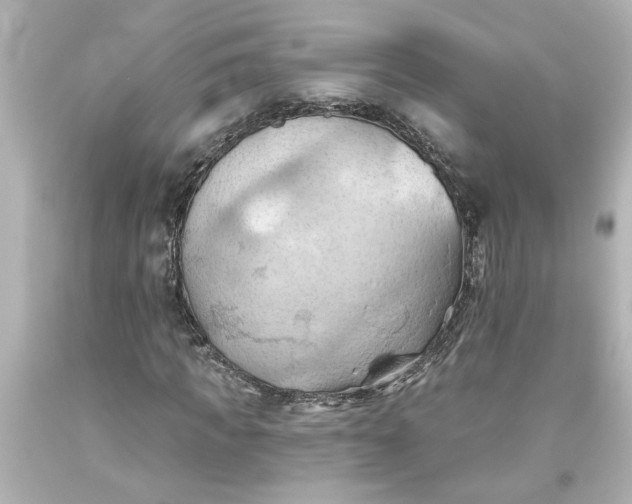 X0000093560917200710291016