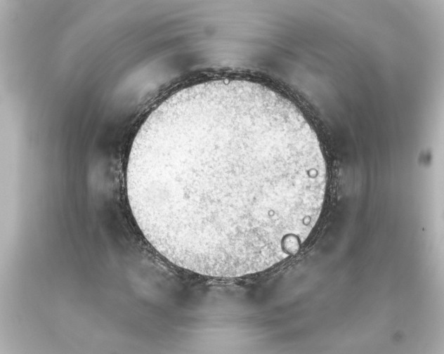 X0000093560918200710291016