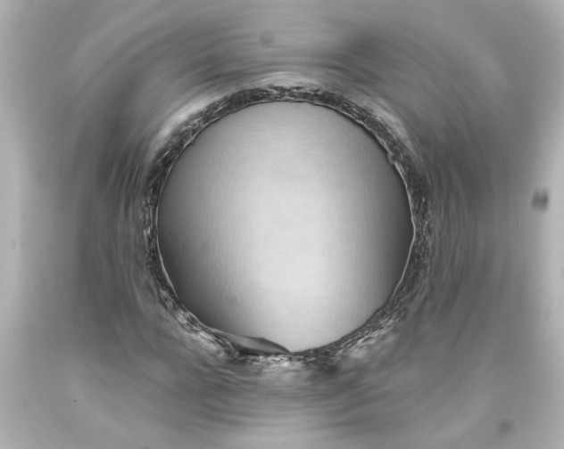 X0000093560920200710291016