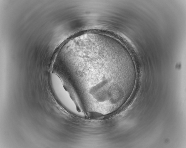 X0000093560921200710291016