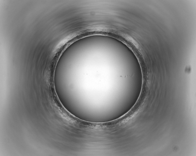 X0000093560922200710291016