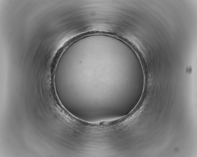 X0000093560923200710291016