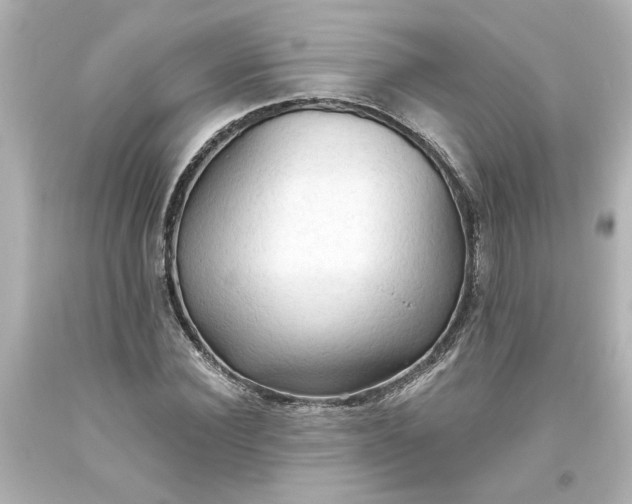 X0000093560924200710291016