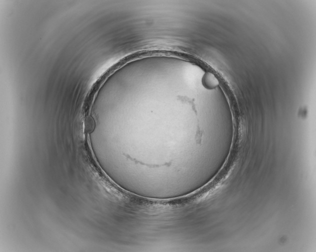 X0000093560925200710291016