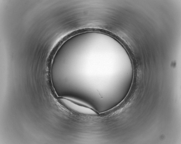 X0000093560926200710291016