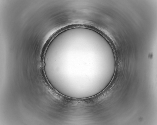 X0000093560927200710291016