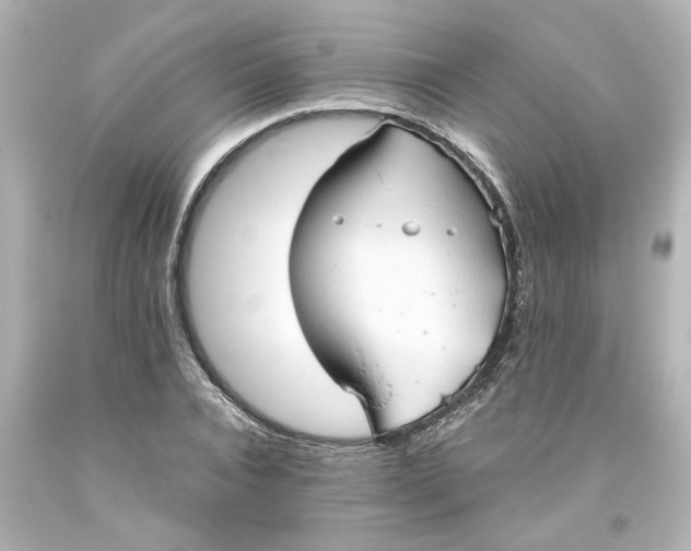 X0000093560928200710291016