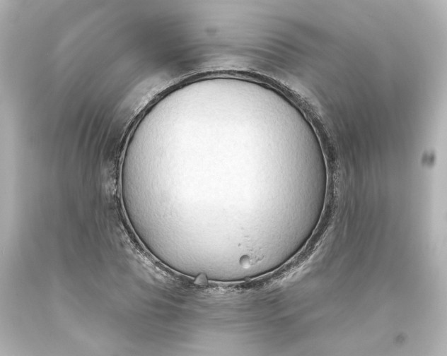 X0000093560929200710291016