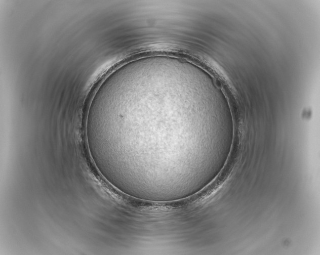 X0000093560930200710291016