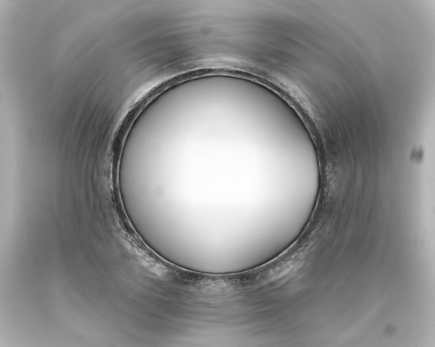 X0000093560931200710291016