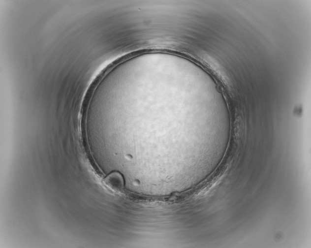 X0000093560932200710291016