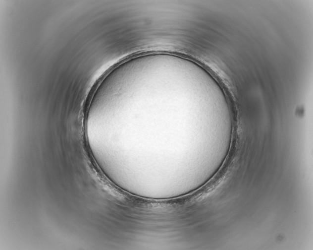 X0000093560933200710291016