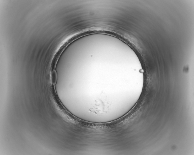 X0000093560934200710291016