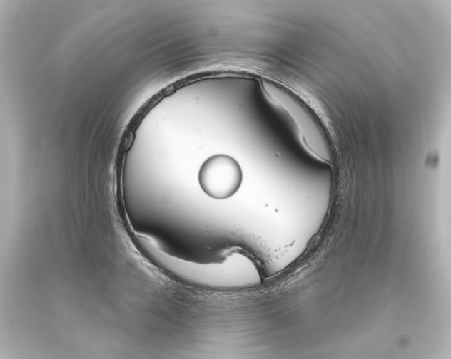 X0000093560936200710291016