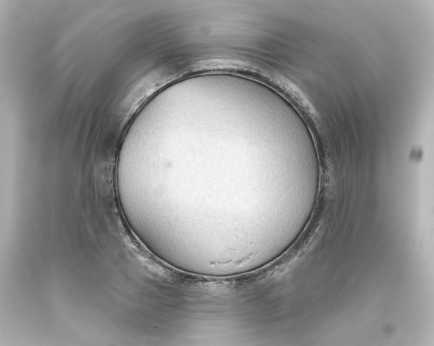 X0000093560937200710291016