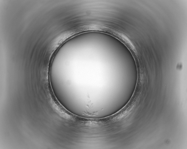 X0000093560938200710291016