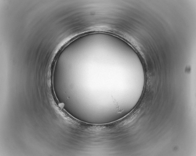 X0000093560939200710291016