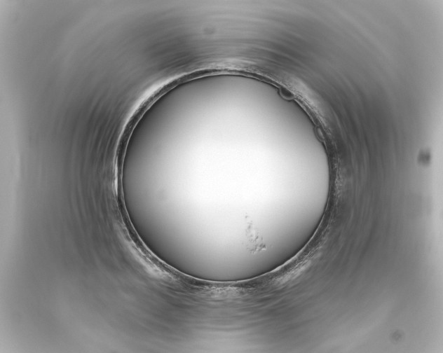 X0000093560940200710291016