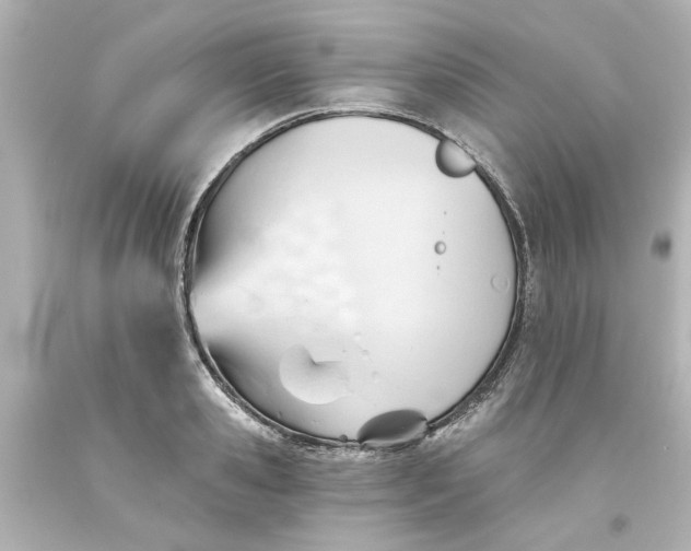 X0000093560941200710291016