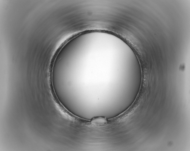 X0000093560942200710291016