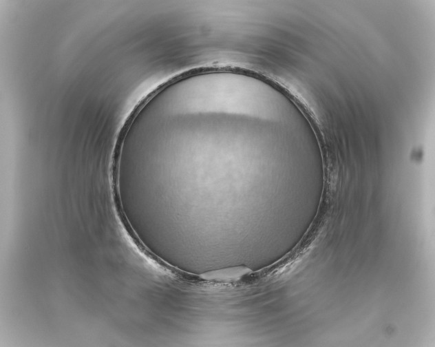 X0000093560943200710291016