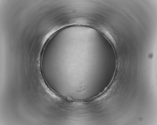 X0000093560944200710291016