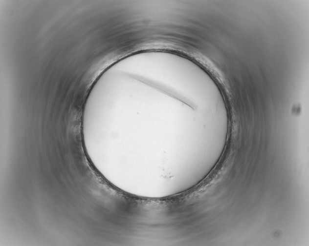 X0000093560945200710291016