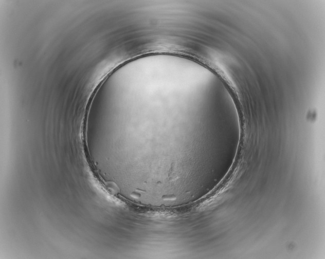 X0000093560946200710291016