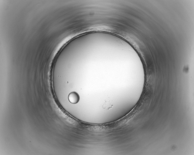 X0000093560947200710291016