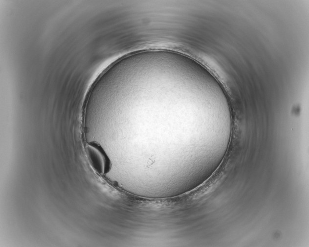 X0000093560948200710291016