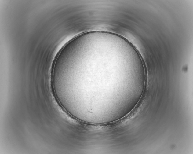 X0000093560949200710291016