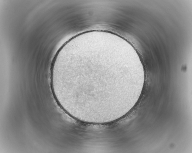 X0000093560950200710291016