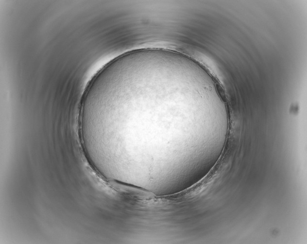 X0000093560952200710291016