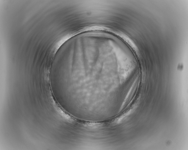 X0000093560953200710291016